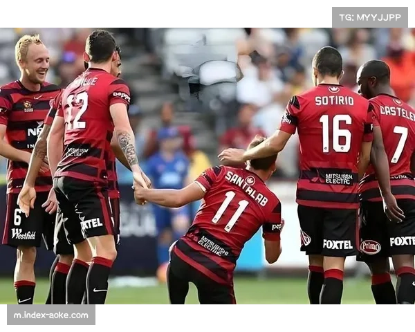 澳超焦点战：麦克阿瑟锋线受损 阿德莱德联力争再取胜利