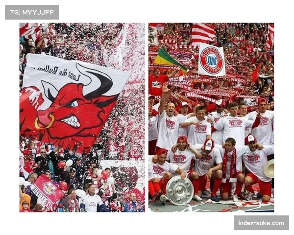 凯泽斯劳滕主场力克劲旅 球迷氛围成为第十二人